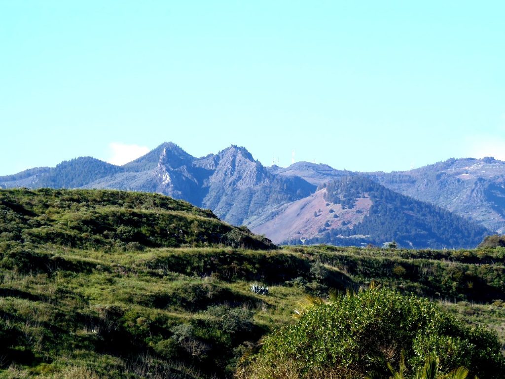 Vistas