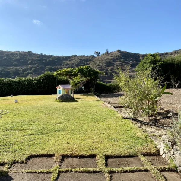 Jardín