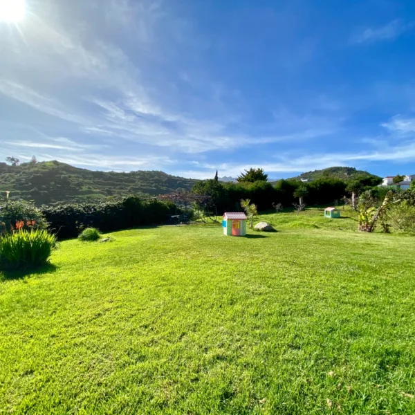 Jardín